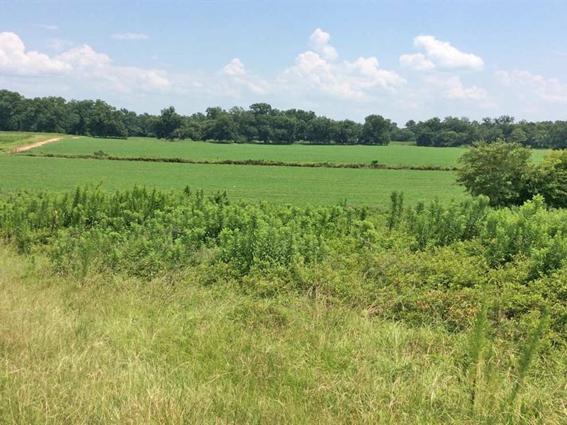 Dicks Road Tract : Luverne : Crenshaw County : Alabama