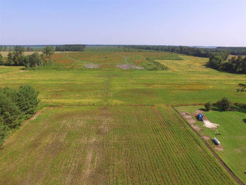 Mini Farm W/ Buildable Lot in Nc : Pinetown : Beaufort County : North Carolina