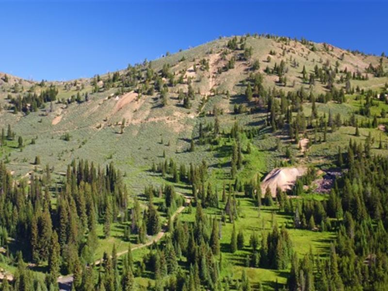 Northeast Oregon Gold Mining : Sumpter : Baker County : Oregon