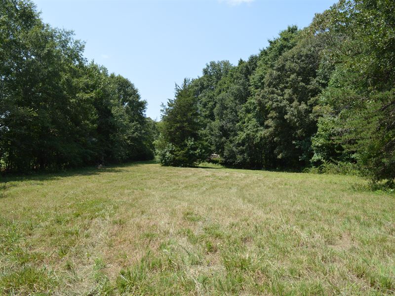 9.20 Acres On Buck Shoals Road, Farm for Sale in South Carolina