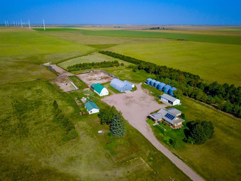 Peetz Irrigated Section, Farm for Sale in Colorado, 157816 FARMFLIP