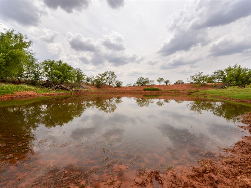 Quail Hunter's Dream Ranch : Sweetwater : Fisher County : Texas