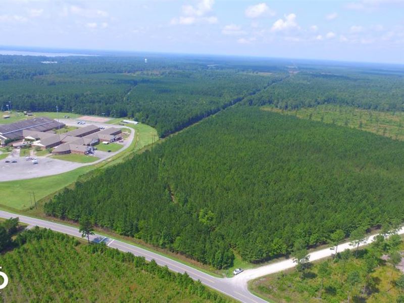 Lake Waccamaw Timber And Recreation Farm for Sale in Lake Waccamaw