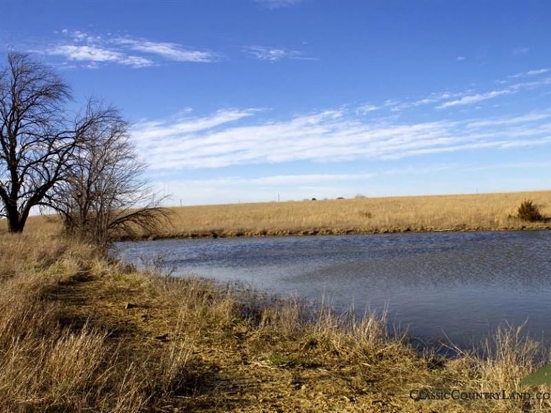 Magnificent Meadows Of Kansas : Niotaze : Chautauqua County : Kansas
