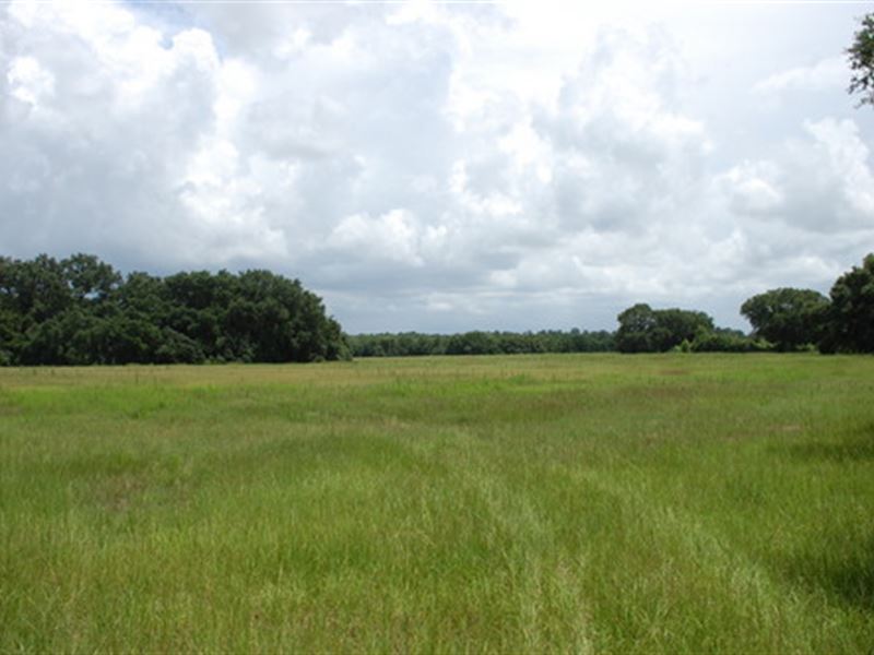 Opportunity Knocks, A-412 : Melrose : Alachua County : Florida