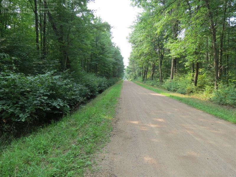 Parcel Great For Hunting : Farm for Sale in Stevens Point ...