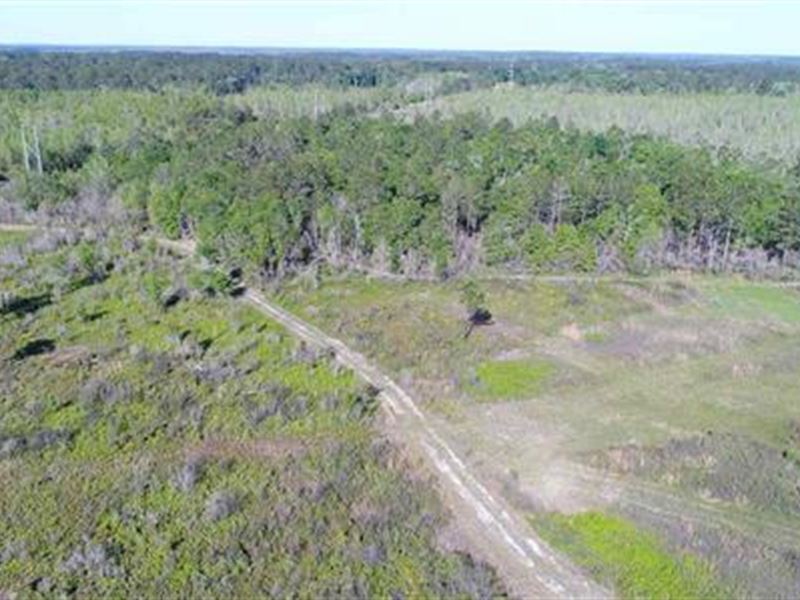 Superior Hunting Land with Cabin, Farm for Sale in Florida, 158189