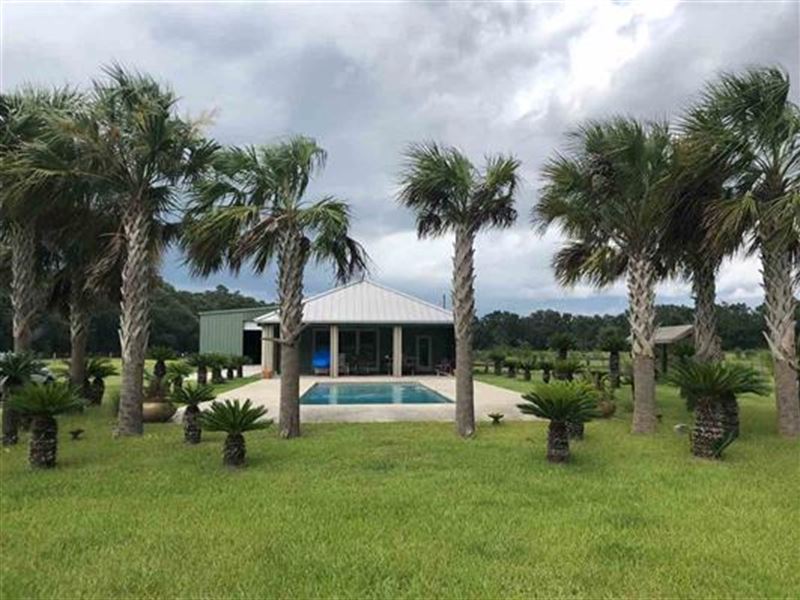 Working Cattle Farm with Great Home, Farm for Sale in Florida, 158284 FARMFLIP