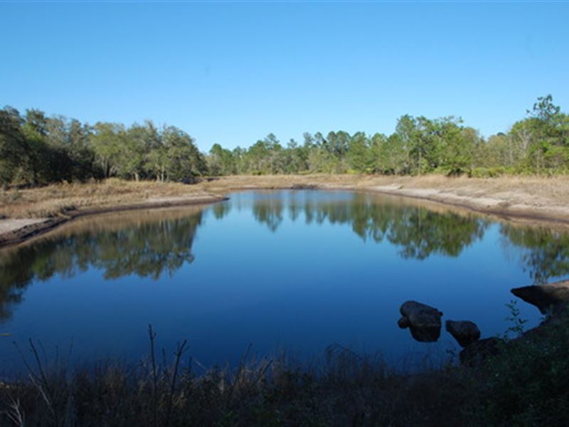 10 Acres With Pond A534 Farm for Sale in Keystone Heights, Clay