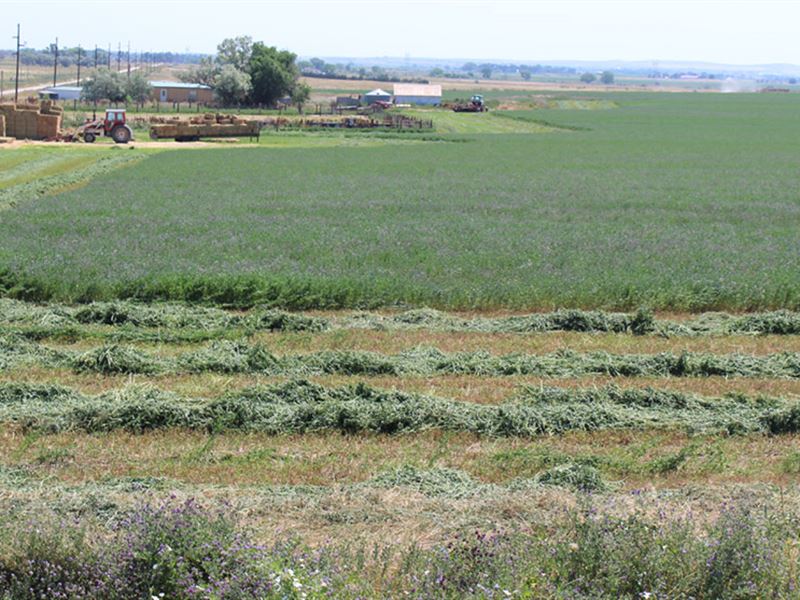 Alworth Hay Farm, Farm for Sale in Wyoming, 158301 FARMFLIP