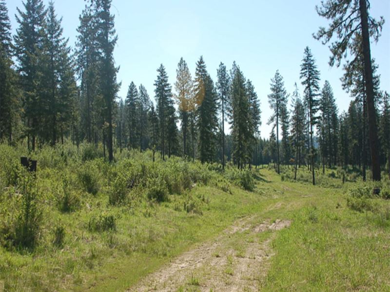 Remote Recreational Land Dworshak, Farm for Sale in Idaho, 158316