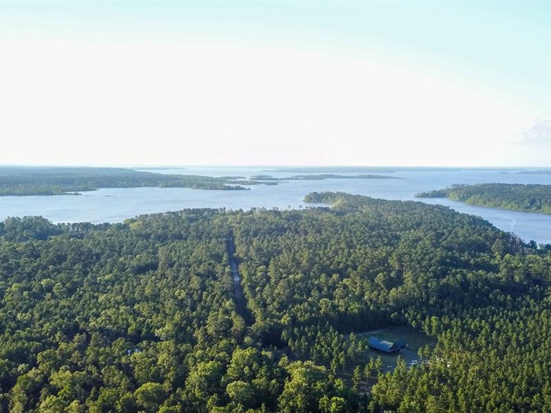 7.43 Acres Lake Sam Rayburn Land Farm for Sale in Lufkin, Angelina