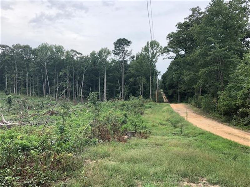 13.34 Acres in Mabelvale, Arkansas : East End : Saline County : Arkansas