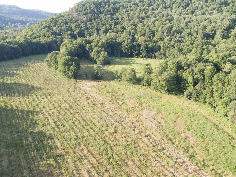 Hop Farm Heaven in Petersburg : Petersburgh : Rensselaer County : New York