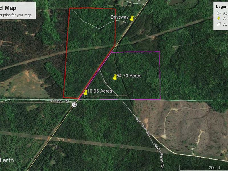 Highway 42, S Monroe Co : Culloden : Monroe County : Georgia