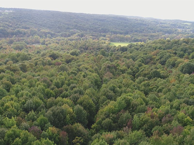 Hunting Or Building Site, Farm for Sale in New York, 158549 FARMFLIP