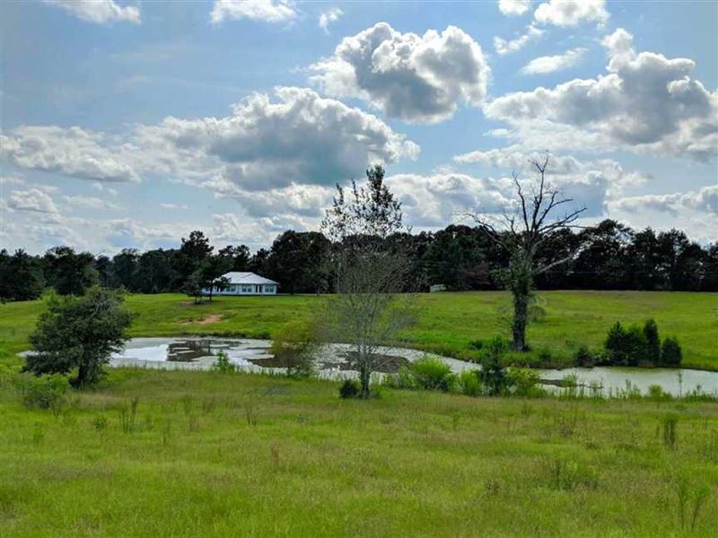 House, Pond, and Acreage Near Buen, Farm for Sale in 158657