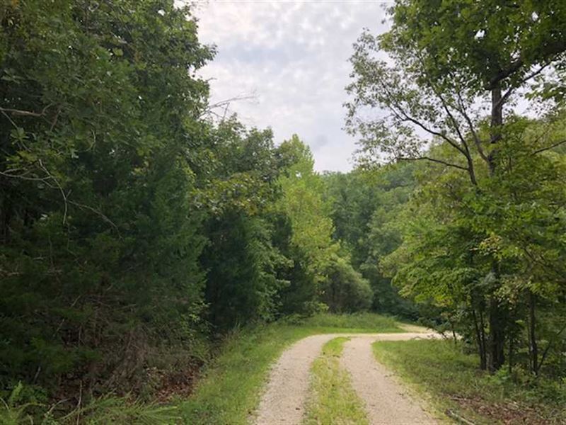 Price Reduced, 35 Acres Lake : Laurie : Morgan County : Missouri