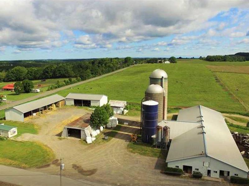 Well-Maintained Dairy Farm : Otisco : Onondaga County : New York