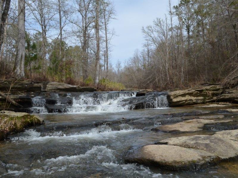 Red Creek Farms : Notasulga : Macon County : Alabama