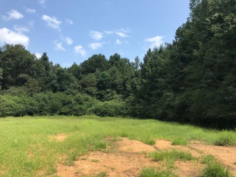 20 Acres On Hartwell Road in Pike : Summit : Pike County : Mississippi