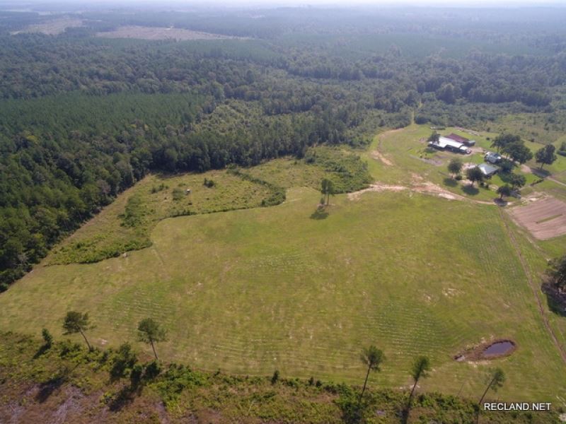 78 Ac, Rural Home Site Potential : Aimwell : Catahoula Parish : Louisiana