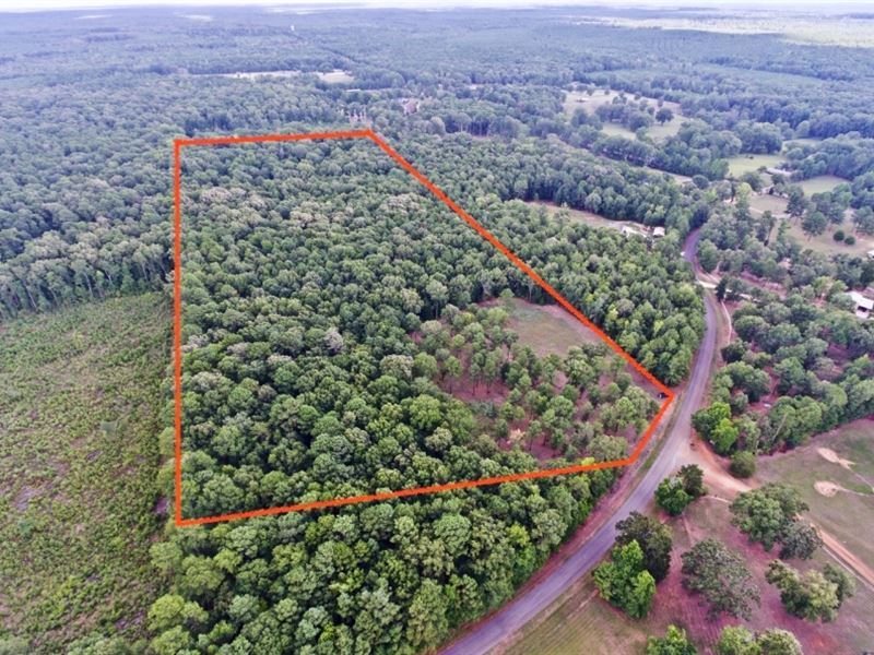 31 Acre Residential Timber Tract Be : Benton : Bossier Parish : Louisiana
