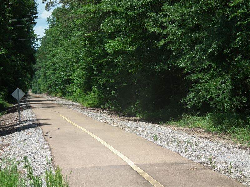 Houlka Creek : Houston : Chickasaw County : Mississippi