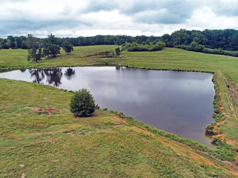 Beautiful 60 Acre Farm, 2 Ponds Farm for Sale by Owner in Snead