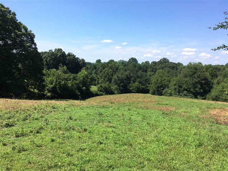 Beautiful Dickson County Home Sitt Farm for Sale in White Bluff