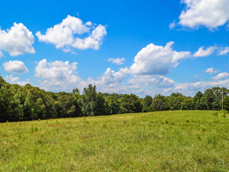 16.8 Acre Mini-Farm Near Moore : Farm for Sale in Woodruff ...