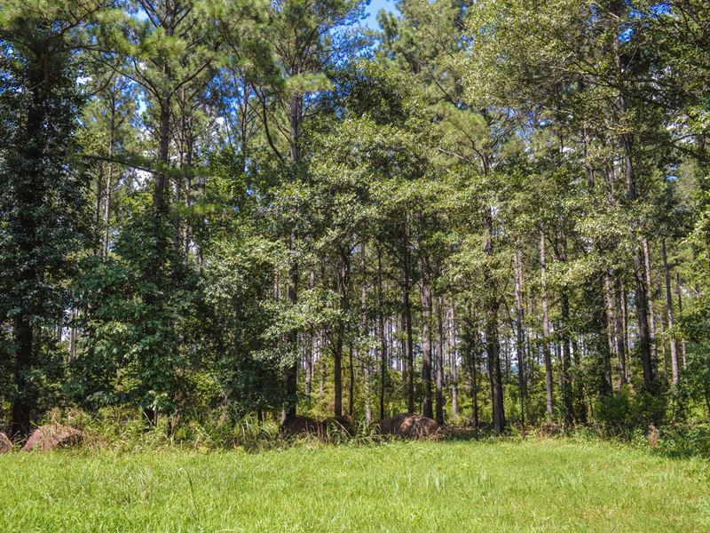 12 Acre Wooded Home Site Near Moore : Woodruff : Spartanburg County : South Carolina