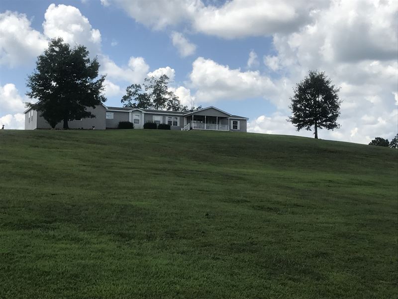 Spacious Home with 5+/- Acres : Lineville : Clay County : Alabama