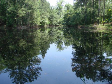 Hunting and Fishing Paradise : Ellenton : Colquitt County : Georgia