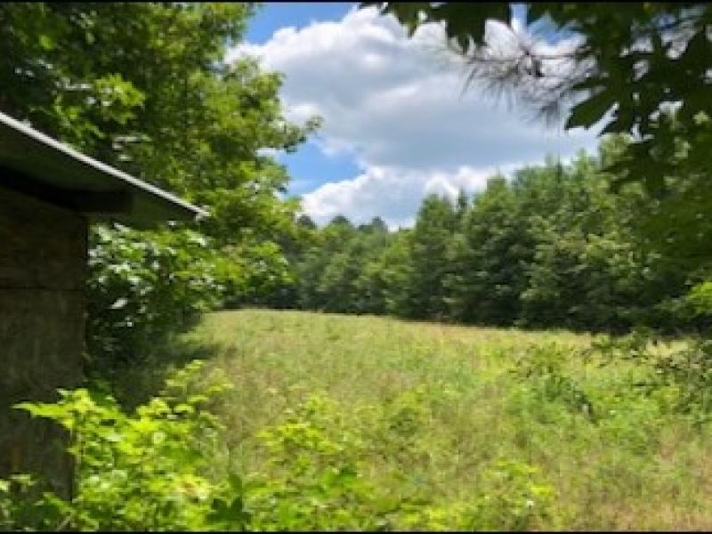 27.5 Acres In Kemper County Farm for Sale in Porterville, Kemper