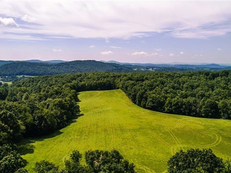 Land Auction 201 Ac in 7 Tracts : Floyd : Floyd County : Virginia