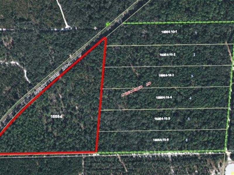 Vacant Land A-495 : Melrose : Alachua County : Florida