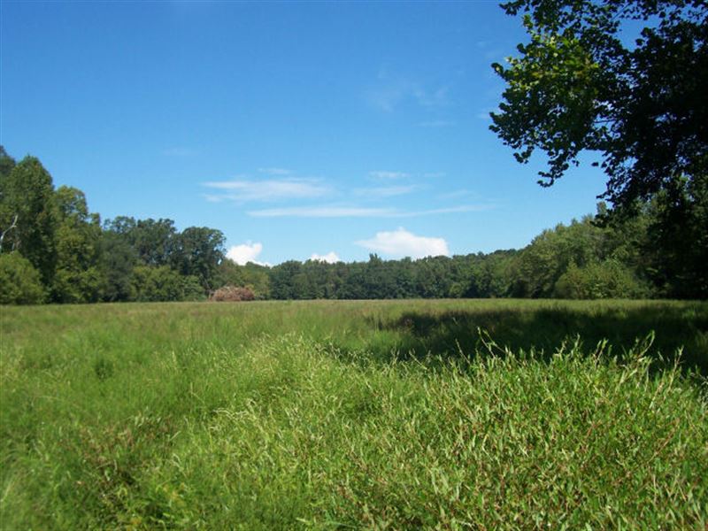 Northeast Ga Farmland/Recreational : Nicholson : Jackson County : Georgia