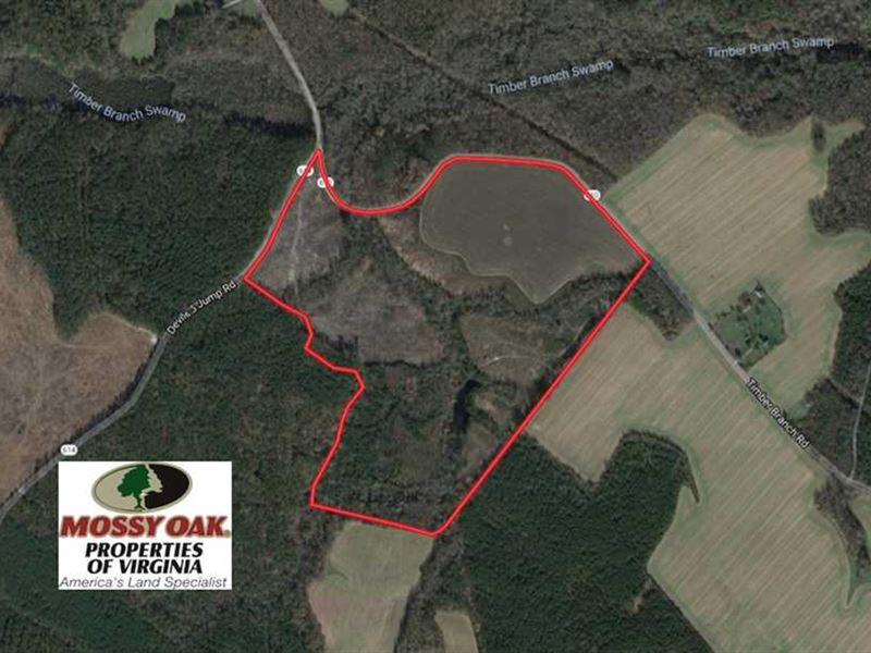 Reduced, 109 Acres of Hunting Lan : Dragonville : King And Queen County : Virginia