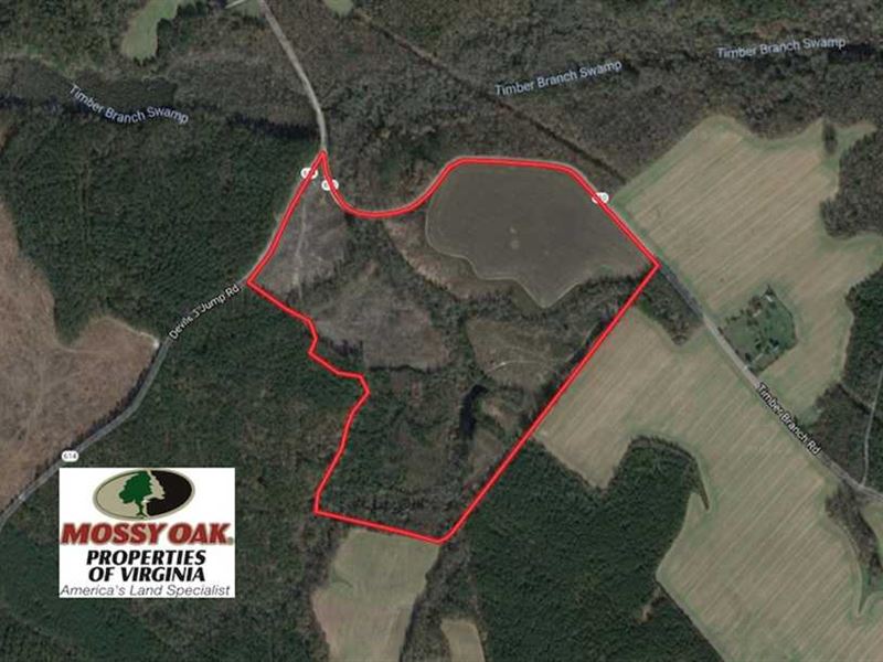 Reduced, 109 Acres of Hunting Lan, Farm for Sale in Virginia, 159360
