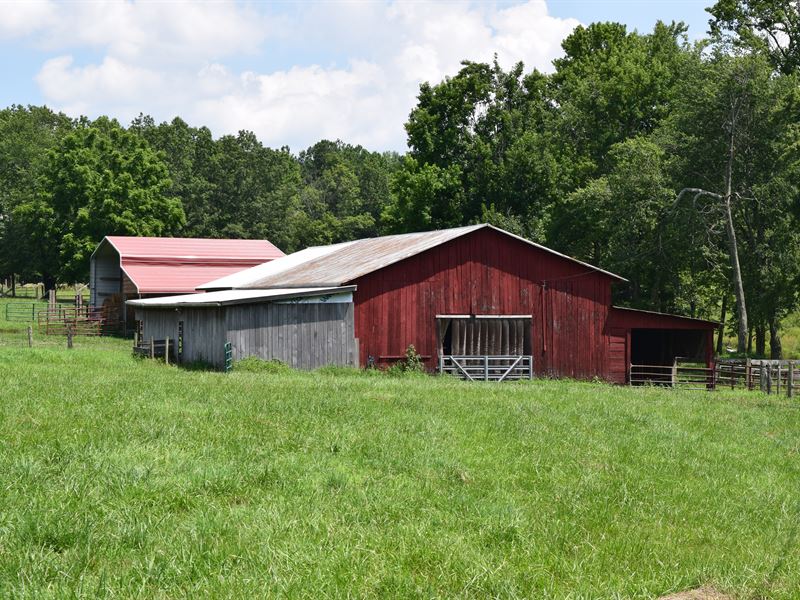 Beautiful Mini Farm Next To Wma, Farm for Sale in Alabama, 159375 FARMFLIP