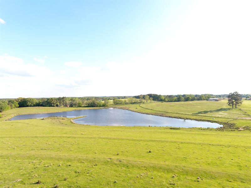 115 +/- Acres Pastureland With Pond : Samson : Geneva County : Alabama