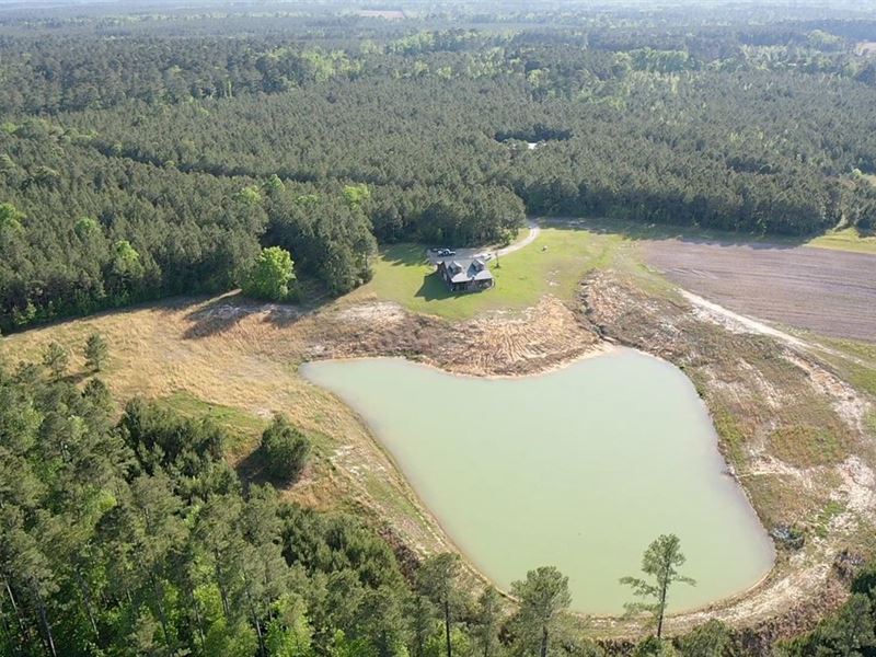 716 Acres Off NC Hwy 87, Council : Council : Bladen County : North Carolina