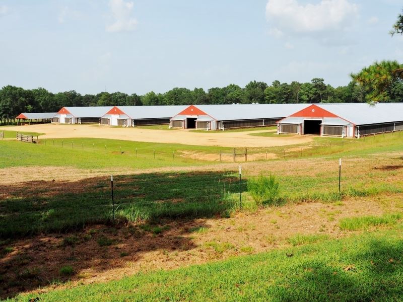 12 House Broiler Farm for Sale 114, Farm for Sale in Mississippi