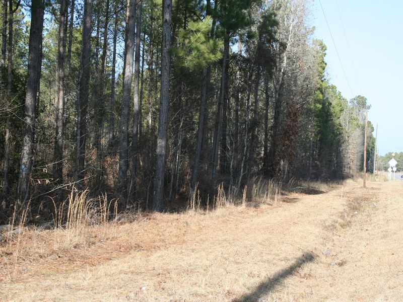 US 401 Tract : Linden : Harnett County : North Carolina
