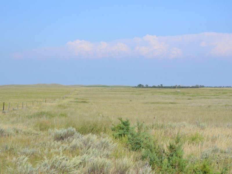 Morrill County Crp & Pasture Farm for Sale in Broadwater, Morrill