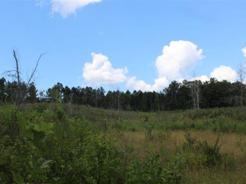 Outdoor Paradise Near Lake Martin : Tallassee : Tallapoosa County : Alabama