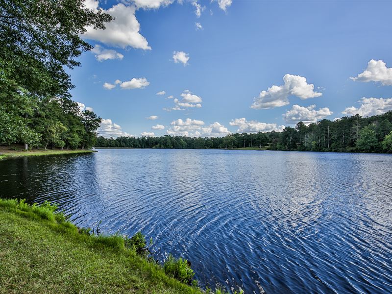 Shoreline At Brooks Lake : Conyers : Rockdale County : Georgia