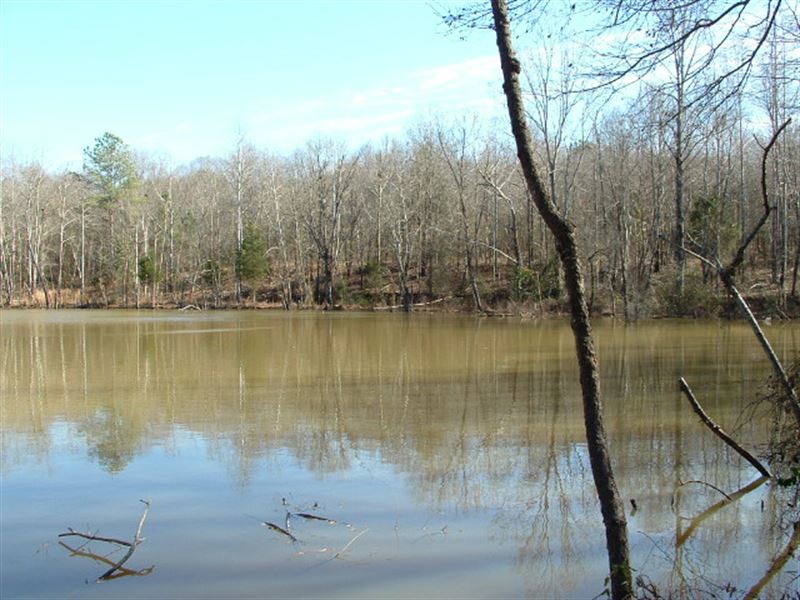 Country Living in The City : Shelby : Cleveland County : North Carolina