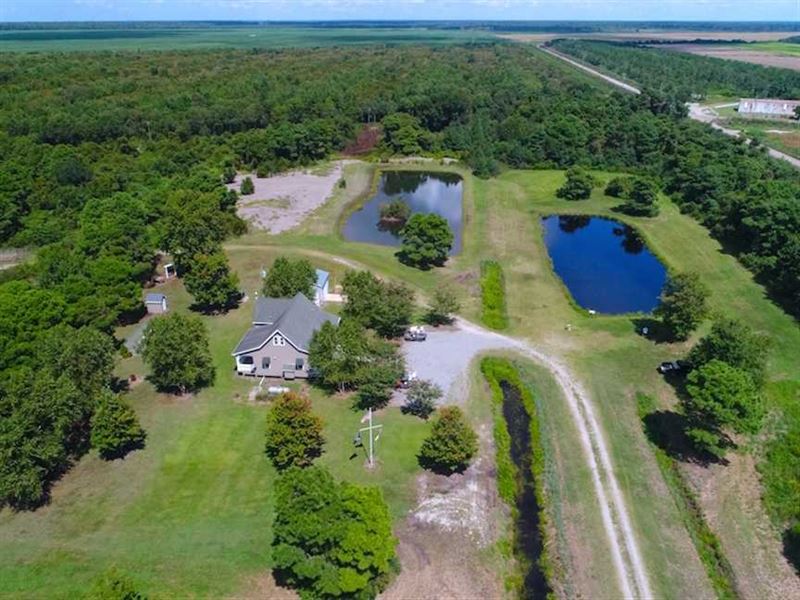 251 Acres of Recreational Hunting, Farm for Sale in North Carolina